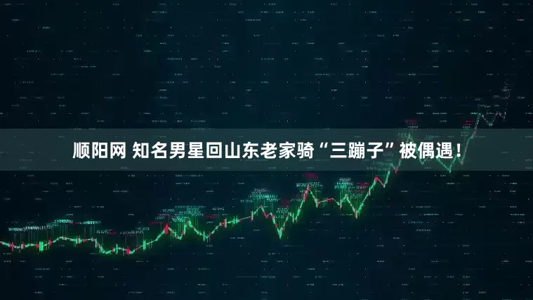顺阳网 知名男星回山东老家骑“三蹦子”被偶遇！