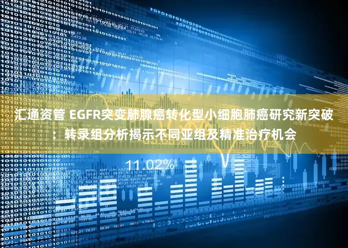 汇通资管 EGFR突变肺腺癌转化型小细胞肺癌研究新突破：转录组分析揭示不同亚组及精准治疗机会