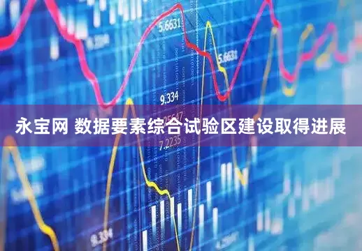 永宝网 数据要素综合试验区建设取得进展