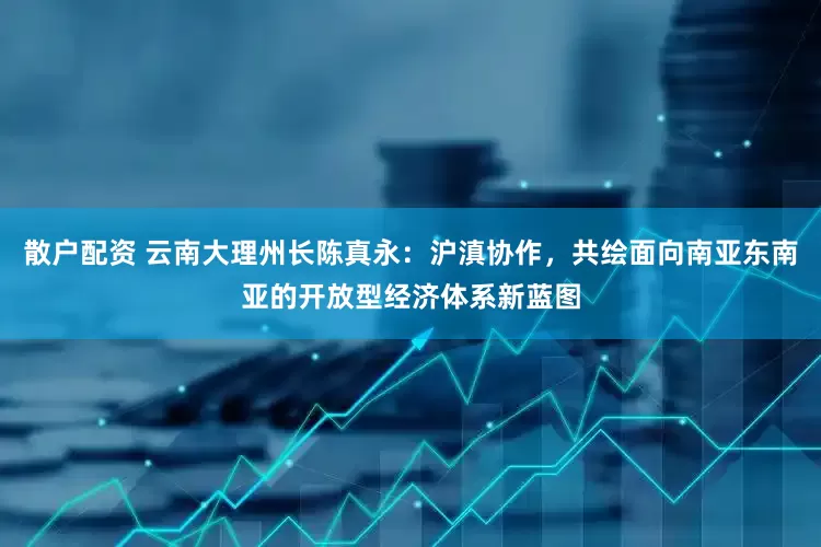 散户配资 云南大理州长陈真永：沪滇协作，共绘面向南亚东南亚的开放型经济体系新蓝图